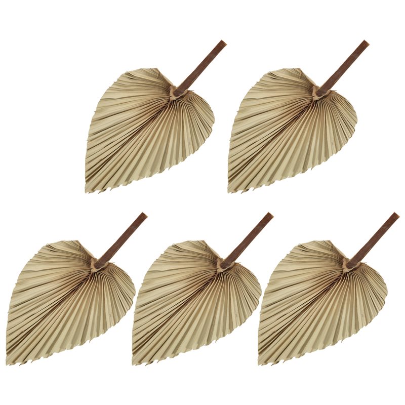Palm Leaf Dried - SEWS-5Pcs Natural Dried Palm Leaves Tropical