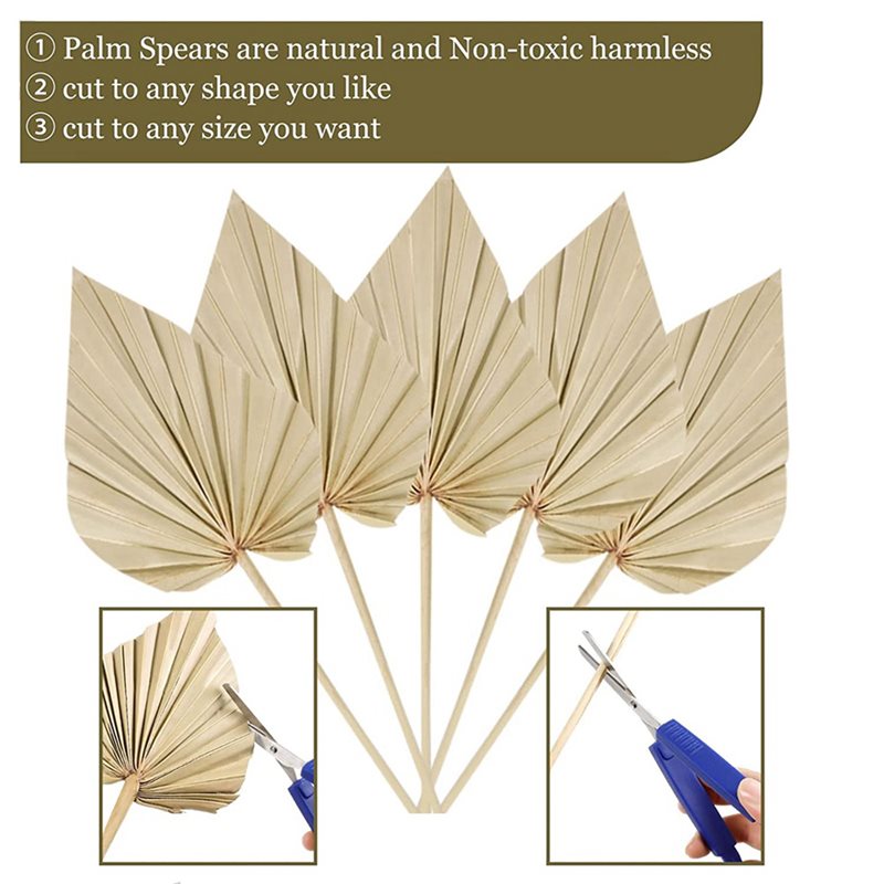 80Pcs Boho Dried Palm Spears L - Palm Leaf Dried 评论和价格