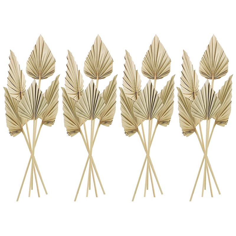 80Pcs Boho Dried Palm Spears L - Palm Leaf Dried 评论和价格