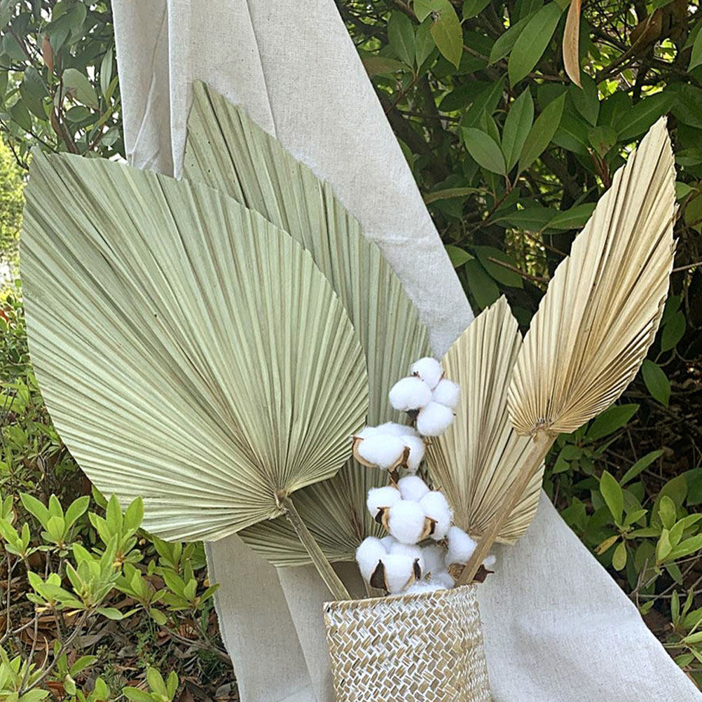 1Pcs Natural Palm Leaf Dried O - Palm Leaf Dried 评论和价格