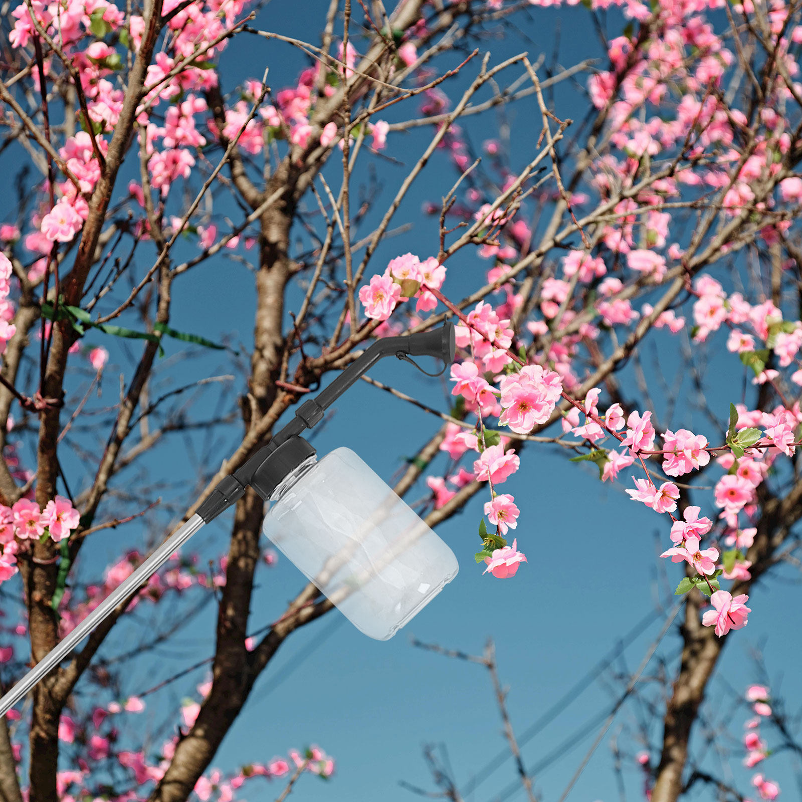 Manual Pollination Stick Handh - Flower Supply 评论和价格