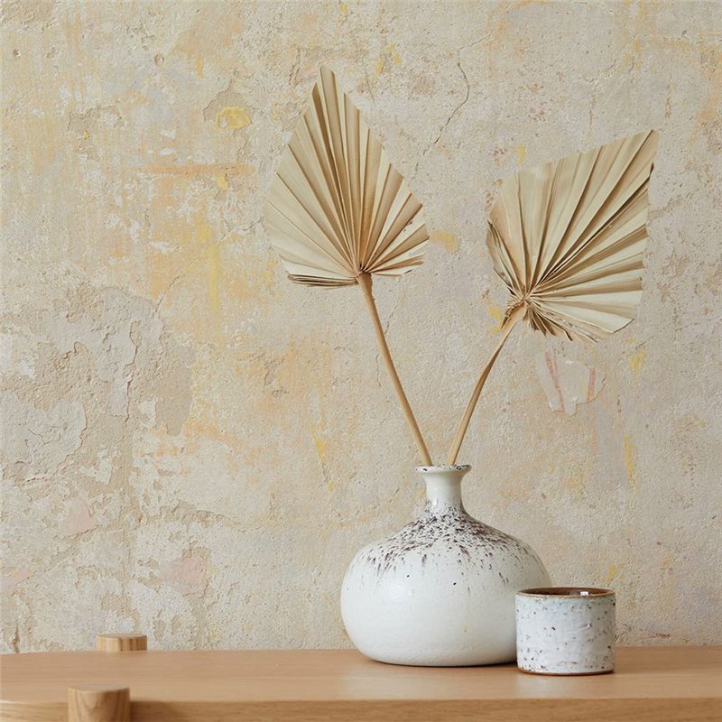 ABYN-Boho Dried Palm Spears Sm - Palm Leaf Dried 评论和价格