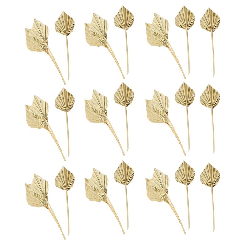 A36T-30 Pcs Boho Dried Palm Sp - Palm Leaf Dried 评论和价格