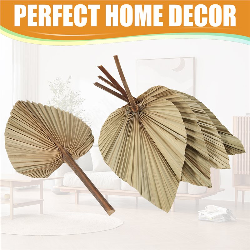 SEWS-5Pcs Natural Dried Palm L - Palm Leaf Dried 评论和价格