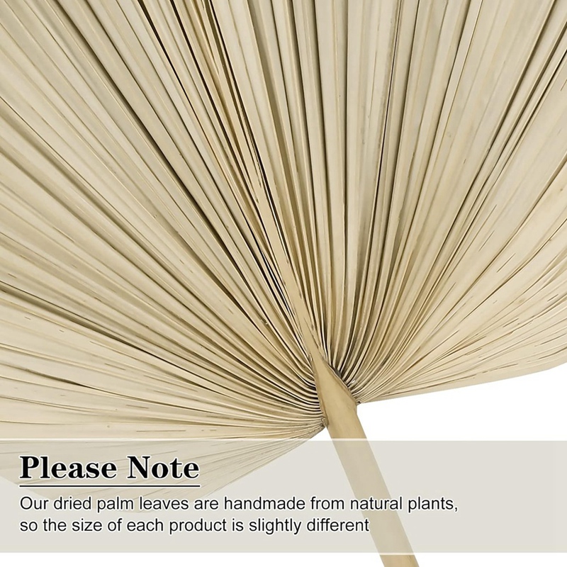 New 6PCS Dried Palm Leaves Nat - Palm Leaf Dried 评论和价格