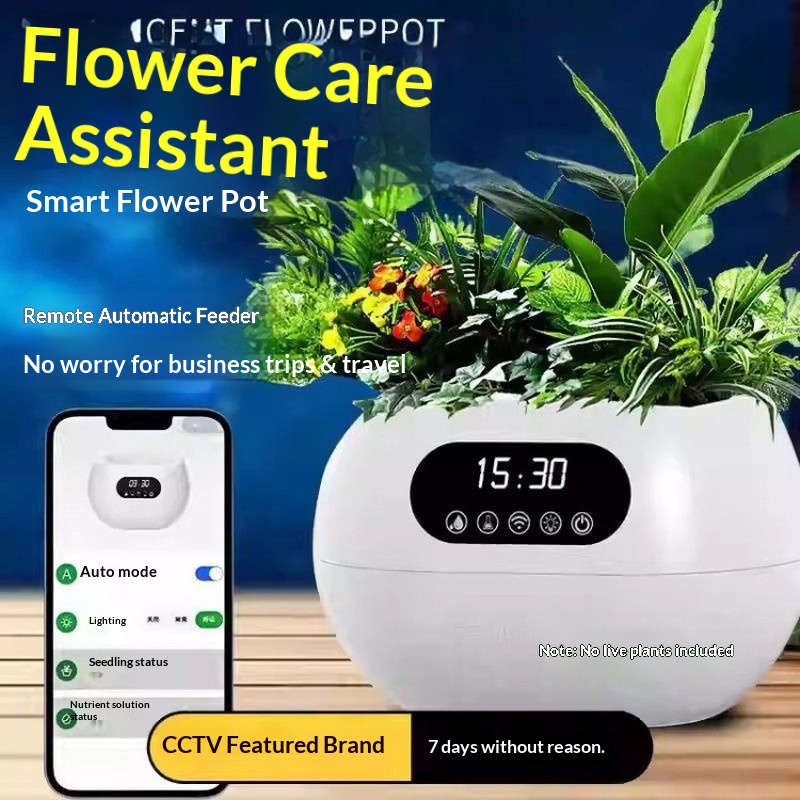 Ai Intelligent Flowerpot Autom - Flower Supply 评论和价格