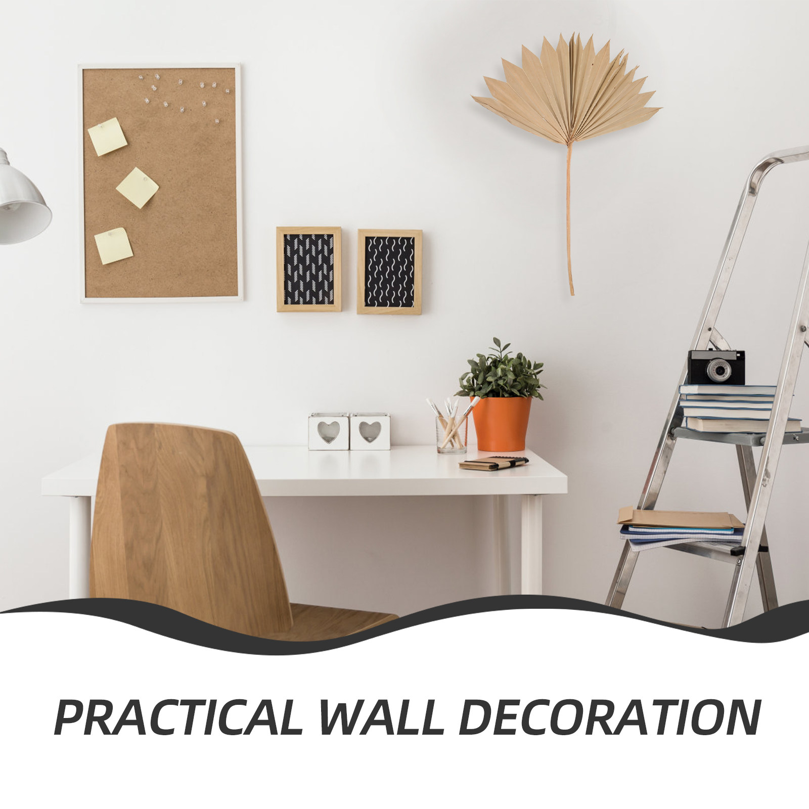 4Pcs Dried Palm Leaf Decor Nat - Palm Leaf Dried 评论和价格