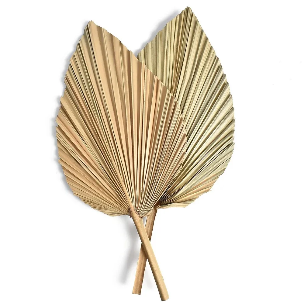 Natural Dried Palm Leaves, DIY - Palm Leaf Dried 评论和价格