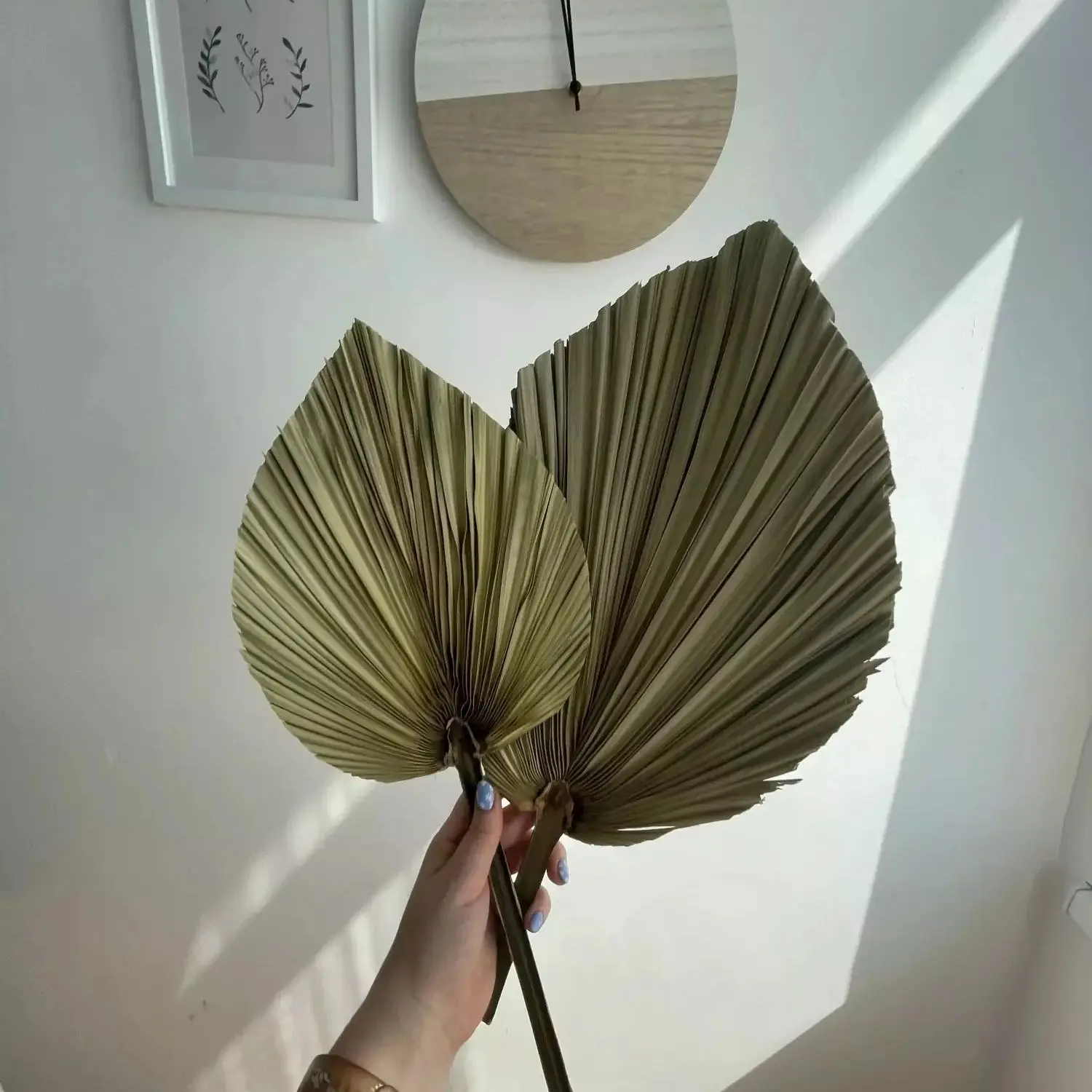 Natural Dried Palm Leaves, DIY - Palm Leaf Dried 评论和价格