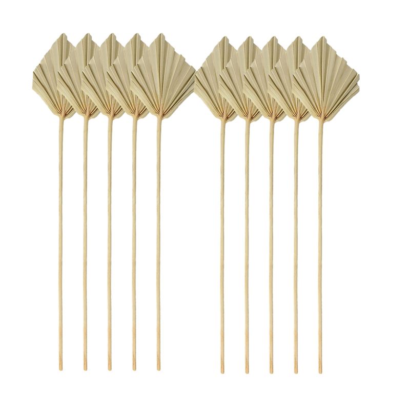 A04G-Boho Dried Palm Spears Sm - Palm Leaf Dried 评论和价格