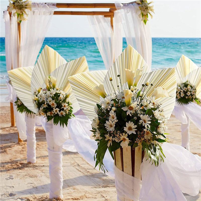 Large White Dried Palm Leaves  - Palm Leaf Dried 评论和价格
